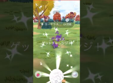 ✨色違いシャドウヨーギラス👿✨個体値ガチャ #ポケモンgo #pokemongo #pokemongoshorts