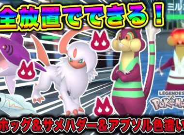【ポケモンZA】完全放置でできる！オヤブンミルホッグ&アブソル&サメハダー&シビシラス色違い厳選方法！
