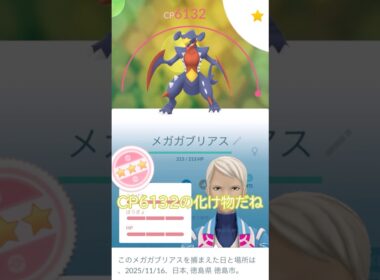 つよいポケモン💪ガブリアス個体値100％強化PL50🐲🔥#ポケモンgo #pokemongo #pokemongoshorts