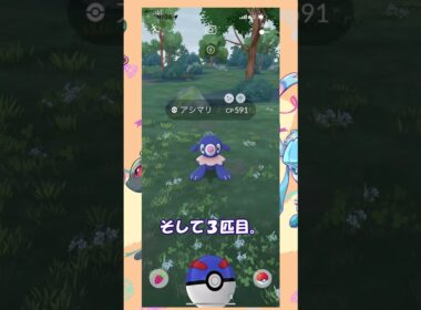 アシマリコミュデイ何匹色違いでるか？イブヒロの〇〇を買ってしまった。#shortsvideo #ポケモン #色違い #ポケモンgo #ポケモンカード #コミュデイ#アシマリ#イーブイヒーローズ
