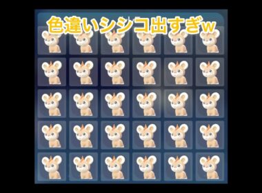 【ポケモンZA】色違いシシコが出過ぎるｗ