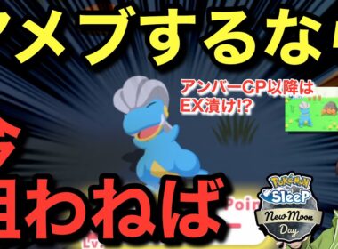 タツベイがしばらくゲットできなくなることに気付いてしまった無課金🤔【ポケモンスリープ】【アンバー渓谷登場キャンペーン】無課金リサーチ851/836日目