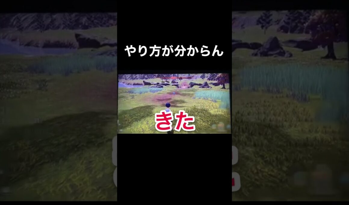 コリンクにビビりまくるww【ポケモンレジェンズアルセウス】 #shorts