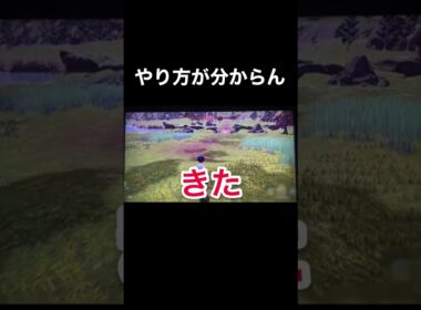 コリンクにビビりまくるww【ポケモンレジェンズアルセウス】 #shorts