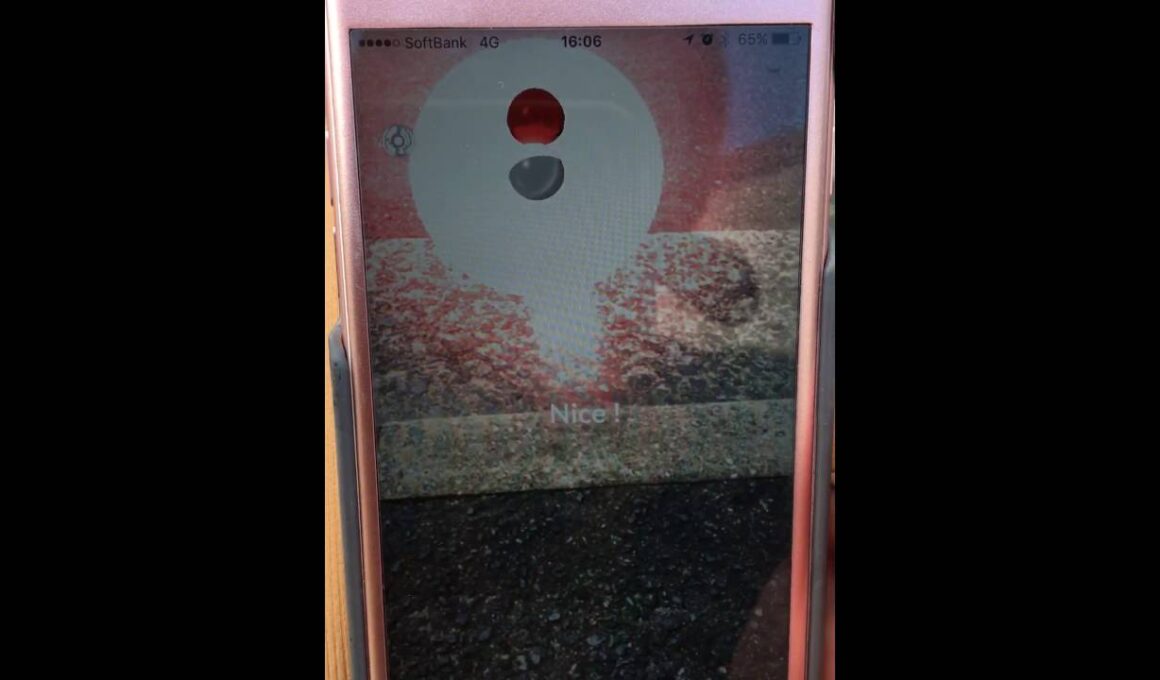 ポケモンGO コラッタGET