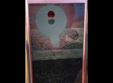 ポケモンGO コラッタGET