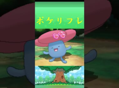 ポケモン ラフレシア ポケリフレ ポケパルレ #ポケモン #Pokemon  #3DS #ポケモン技 #ポケモンsv #ポケモン #ふれあい #キャンプ #カレー #サンドイッチ #ピクニック