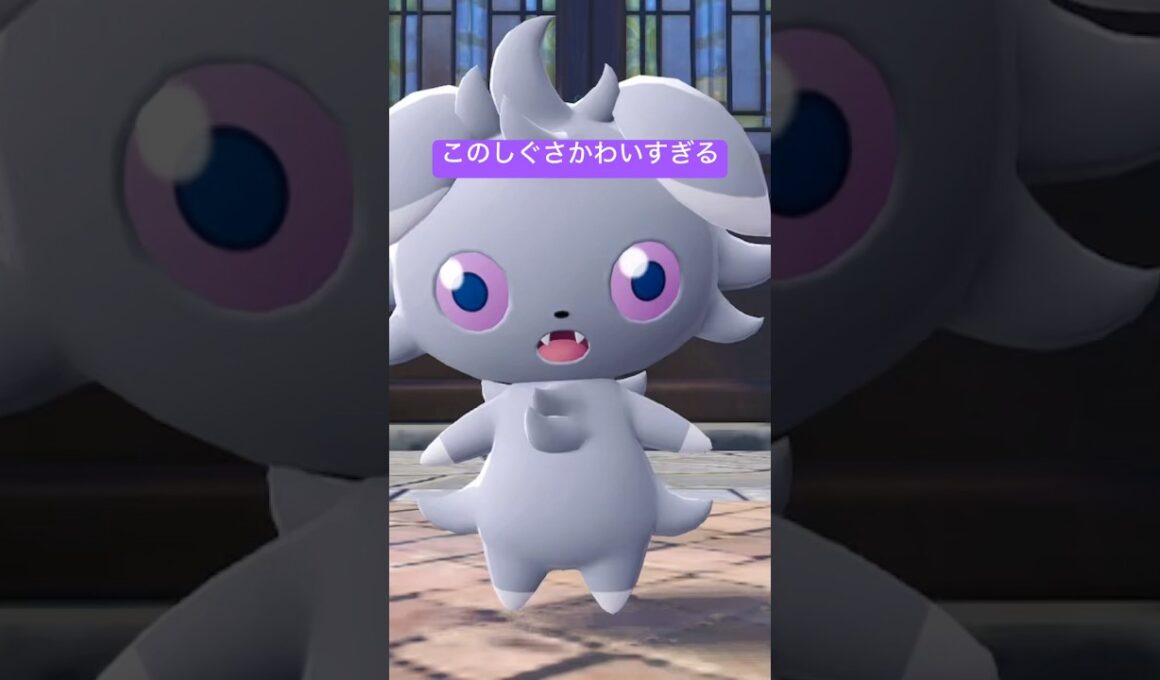 おめめがたまらん可愛すぎる🥹🎀#short #shorts #ニャスパー#espurr #ポケモンza