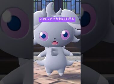 おめめがたまらん可愛すぎる🥹🎀#short #shorts #ニャスパー#espurr #ポケモンza