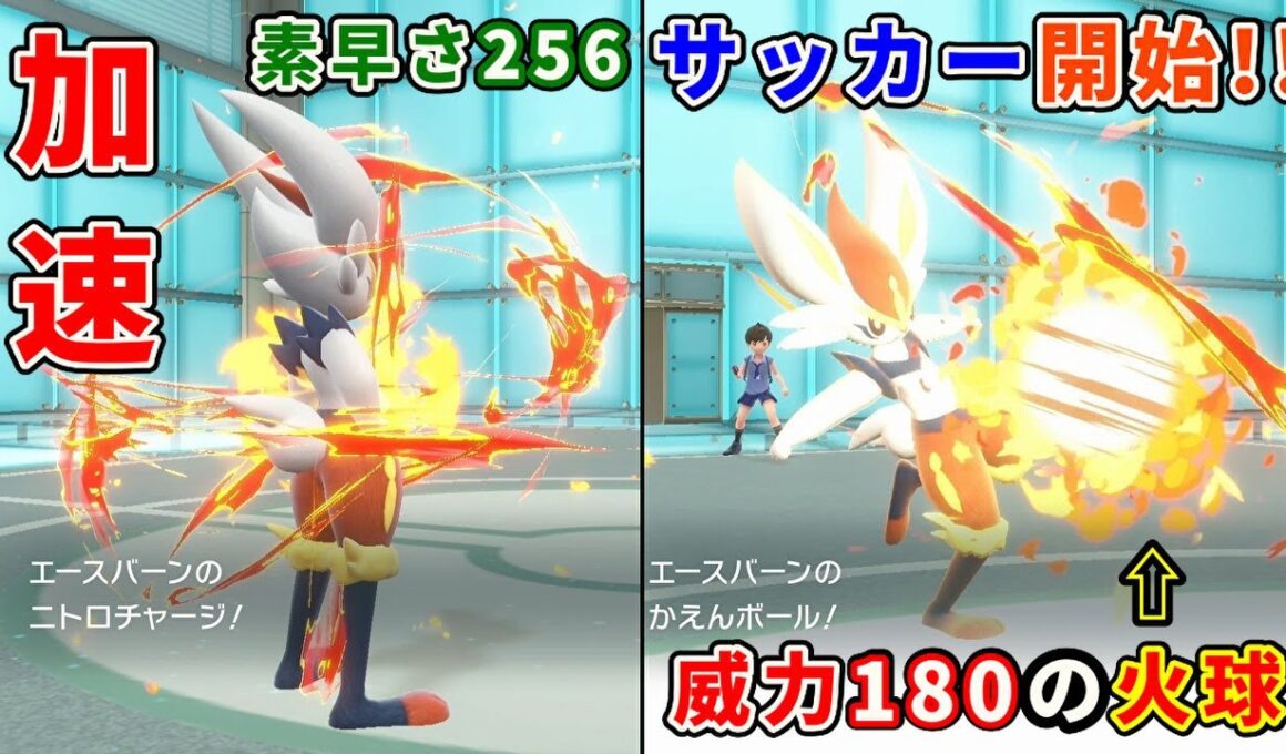 ポケモン界のサッカー選手「エースバーン」を活躍させたい！【ポケモンSV】