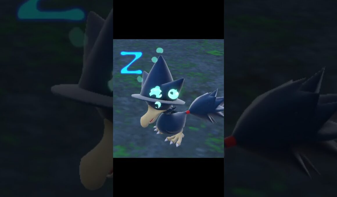 寝ているヤミカラス　#Shorts