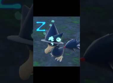 寝ているヤミカラス　#Shorts