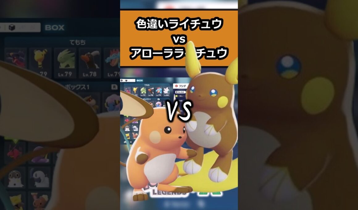 強いのはどっち!?色違いライチュウvsアローラライチュウ!! #ポケモンレジェンズZA  #shorts #switch2
