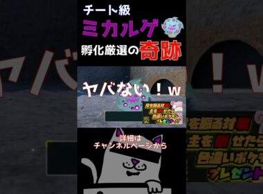 【ポケットモンスターsv】ミカルゲ孵化厳選がやばすぎた！ #ポケモン #色違い #配布#孵化厳選