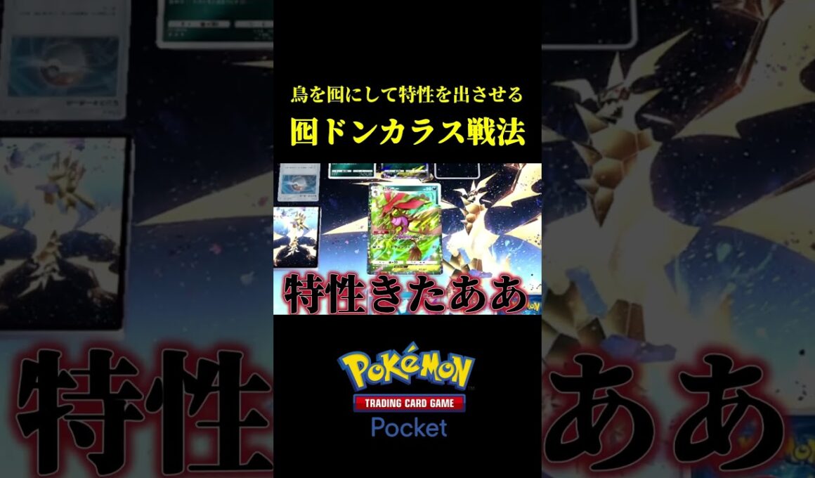 オドリドリを囮にして特性持ちを出させて無双するドンカラス戦法ｗｗ #ポケポケ