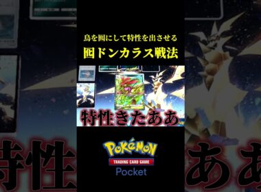 オドリドリを囮にして特性持ちを出させて無双するドンカラス戦法ｗｗ #ポケポケ