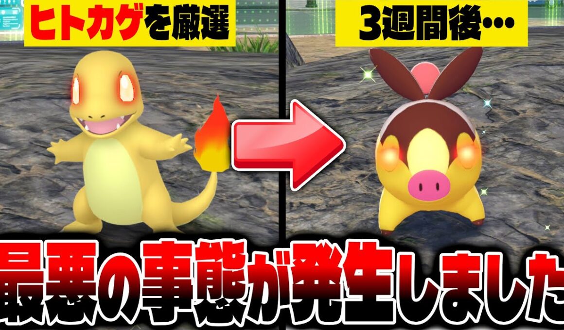【ポケモンZA】緊急事態発生！オヤブン色違いヒトカゲを3週間厳選したら最悪な結果になりました【Pokémon LEGENDS Z-A】