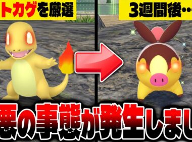 【ポケモンZA】緊急事態発生！オヤブン色違いヒトカゲを3週間厳選したら最悪な結果になりました【Pokémon LEGENDS Z-A】