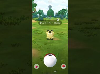 ポケモンGO ガラルニャース　色違い