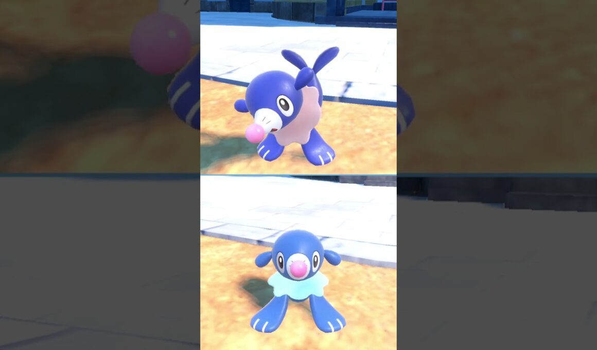 #アシマリ  #popplio  #pokemonscarletandviolet