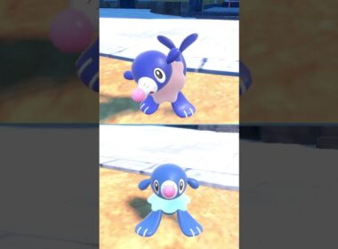 #アシマリ  #popplio  #pokemonscarletandviolet