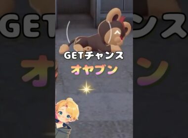 【ポケモンZA】寝てて可愛いオヤブン"シシコ”GETチャンス🔥#shorts