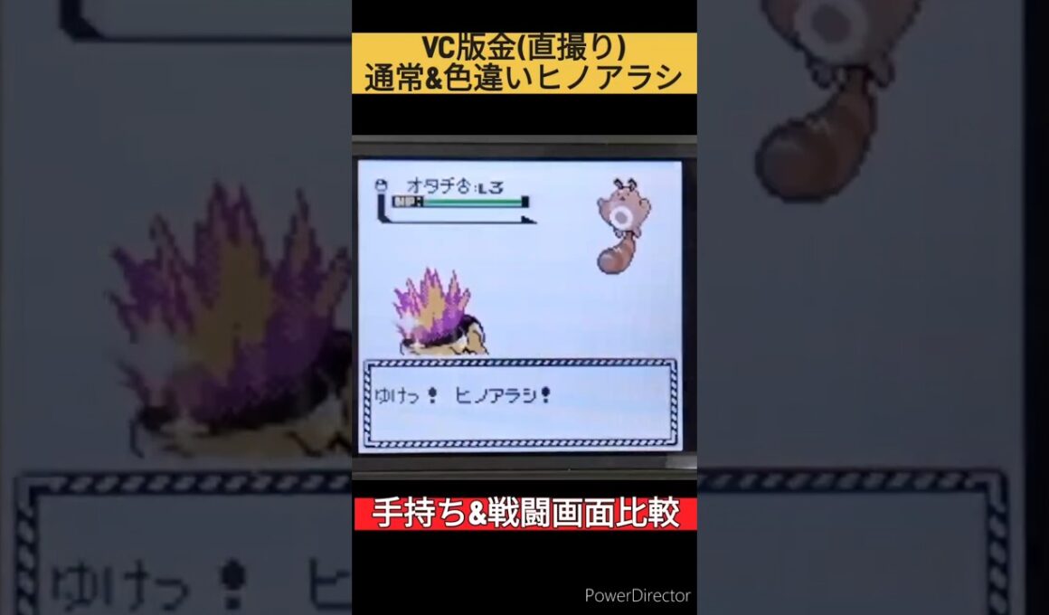 VC版金(直撮り)通常と色違いヒノアラシの手持ち&戦闘画面比較 #shorts #pokemon #ポケモン #ポケモン金銀  #ヒノアラシ  #GB #ゲームボーイ