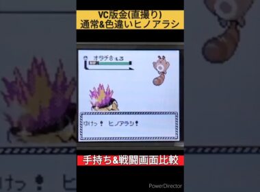 VC版金(直撮り)通常と色違いヒノアラシの手持ち&戦闘画面比較 #shorts #pokemon #ポケモン #ポケモン金銀  #ヒノアラシ  #GB #ゲームボーイ