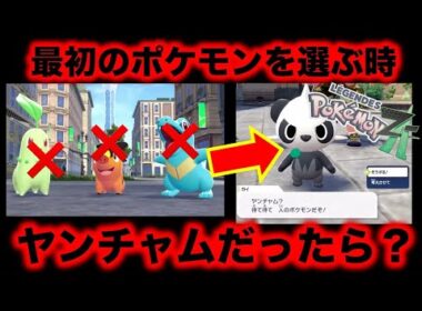 【ポケモンZA】最初のポケモンを選ぶ時ヤンチャムまったらどうなる？ 『生配信切り抜き動画』【アイリスラーメンチャンネル】