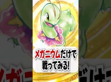 【検証】全体回復のメガニウムだけで勝てるのか!?【ポケポケ】