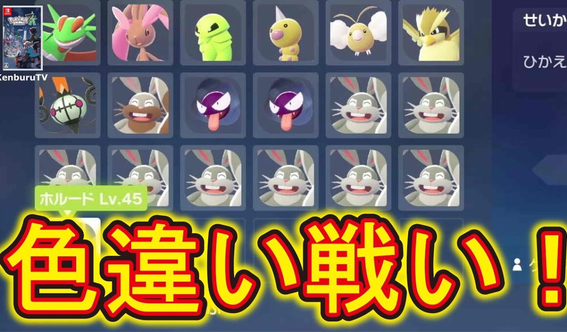 【#ポケモンレジェンズZA】色違いオヤブンミルホッグゲット！色違いポケモンでランクマ準備していこうライブ配信！