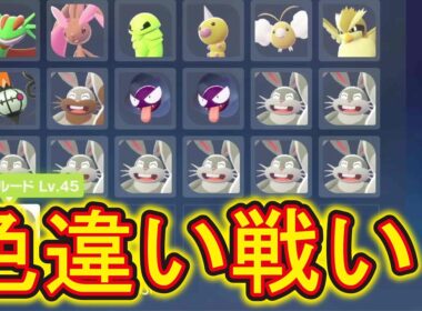 【#ポケモンレジェンズZA】色違いオヤブンミルホッグゲット！色違いポケモンでランクマ準備していこうライブ配信！
