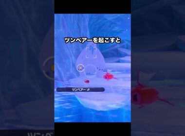 【絶体絶命】ツンベアーに捕食されるコイキングが切ない #ポケモン #newポケモンスナップ