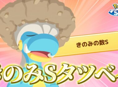 【ポケモンスリープ】16匹目でようやくきのみSタツベイが…