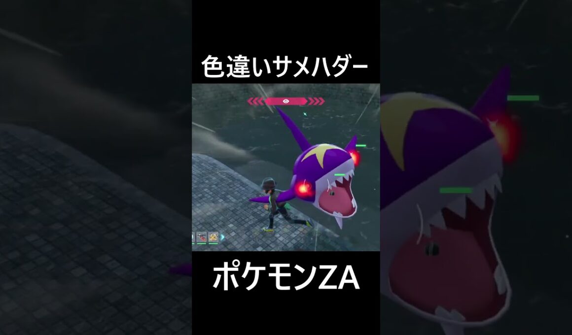色違いキバニア・オヤブンサメハダー ポケモンレジェンズZA Pokémon LEGENDS Z-A #shorts