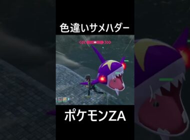 色違いキバニア・オヤブンサメハダー ポケモンレジェンズZA Pokémon LEGENDS Z-A #shorts