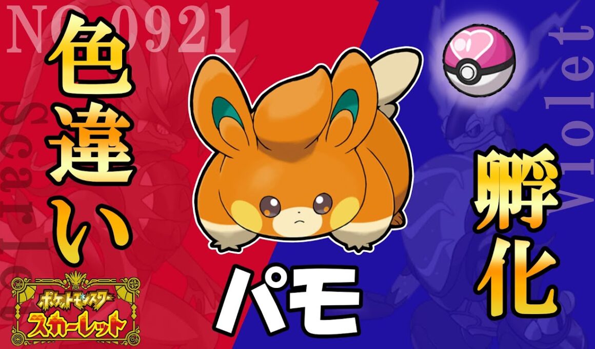 パモ色違い孵化厳選day2　パモ180個 シェルダー150個　#ポケットモンスターSV #色違いポケモン