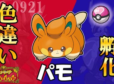 パモ色違い孵化厳選day2　パモ180個 シェルダー150個　#ポケットモンスターSV #色違いポケモン