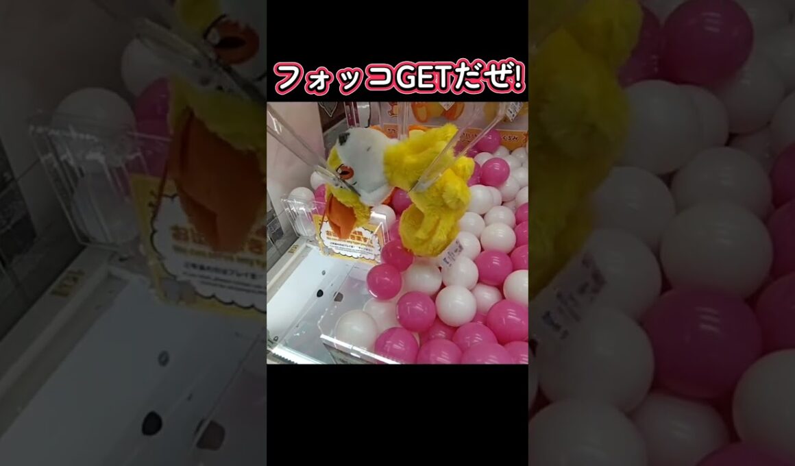 #クレーンゲーム #攻略 #確率無視 #ポケモン #フォッコ  クレーンゲーム 攻略ポケモン  TikTok