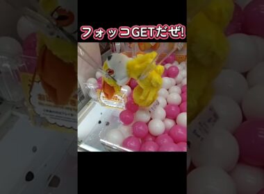 #クレーンゲーム #攻略 #確率無視 #ポケモン #フォッコ  クレーンゲーム 攻略ポケモン  TikTok
