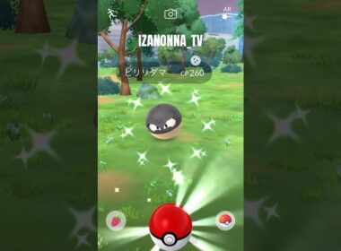 #ポケモンGO #色違い ビリリダマ #pokemongo #shiny