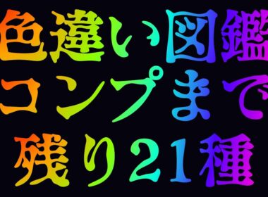 【Pokémon LEGENDS Z-A】色違い図鑑完成への道 #3 チコリータ ワニノコ ヒトカゲ 色違い出すまで終われない/ アステル