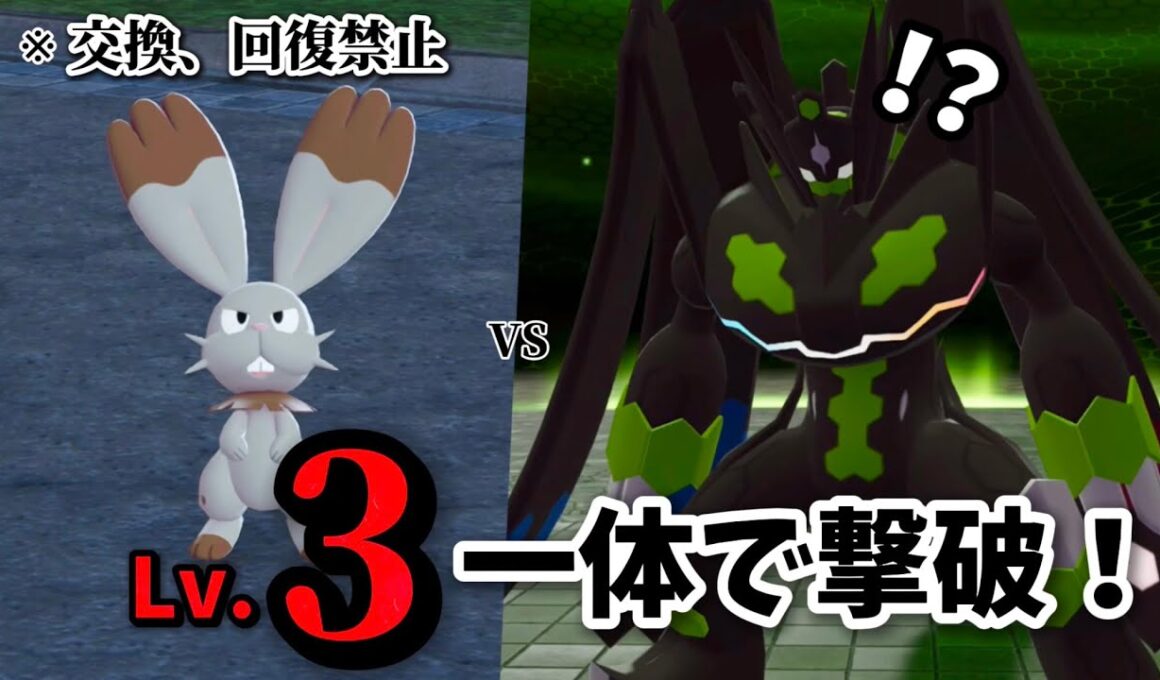 【ポケモンZA】Lv3ホルビー1体で裏ボスジガルデに挑む！【交換、回復禁止】