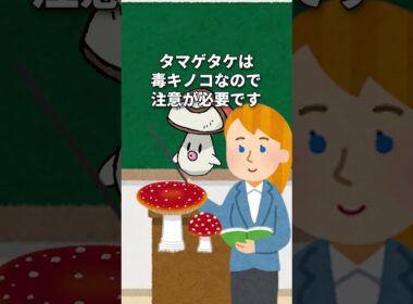 タマゲタケ講座(ポケモンBWの思い出?) #かわいい #pokemon #ポケカ #ブラックボルト