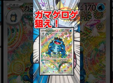 【毎日ポケカ開封！ブラックボルト　ホワイトフレアでガマゲロゲ狙え！😳】ポケモンカードブラックボルトを一箱分開封します😆カンダシンジとゴッドパックを狙え！ポケモンSRなら泣きの１パック😢