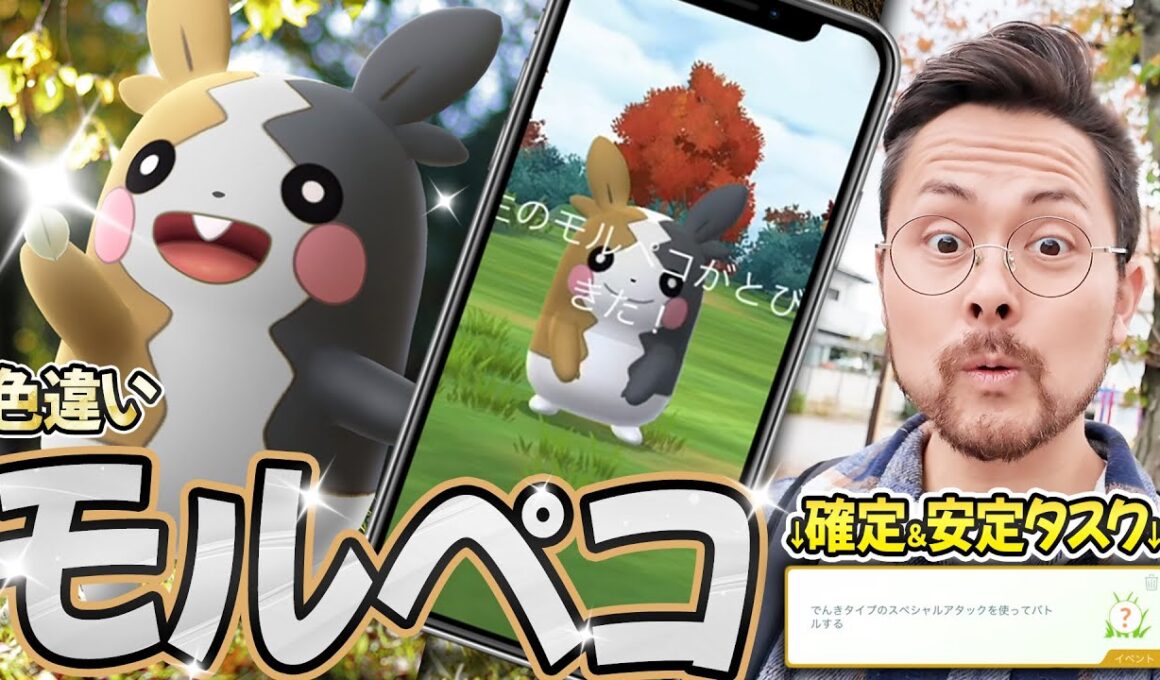 色違いモルペコ！！タスク全力！！相棒のスナップショット忘れずに！有料リサーチも熱い！！【ポケモンGO】
