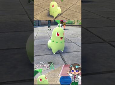 チコリータ限界オタクの発狂リアクション！チコリータ可愛すぎる！！！【ポケモンZA】 #ポケモン #ポケモンza #shorts