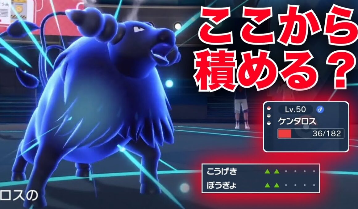 残HP36からもう1回ビルドアップ積めるケンタロスだけが厨ポケに勝てる【ポケモンSV】
