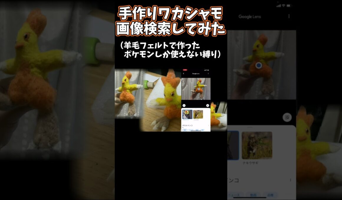 10時間かけて作ったワカシャモが『オカメインコ』と判定されて進化させられなくなってしまう#ポケモン #shorts