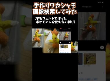 10時間かけて作ったワカシャモが『オカメインコ』と判定されて進化させられなくなってしまう#ポケモン #shorts